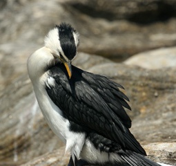 IMG_8222a.jpg
